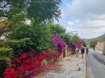 North Cyprus