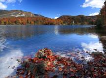Slovenia