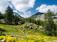 Montenegro