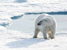 Greenland