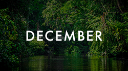 Where Adventure Holidays Begin